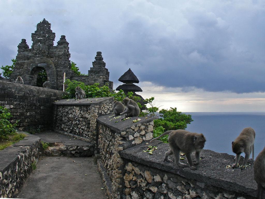 Bali Green Hills Pecatu Extérieur photo